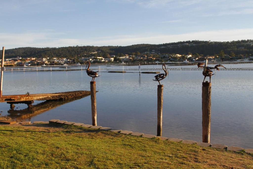 Sails Luxury Apartments Merimbula Dış mekan fotoğraf